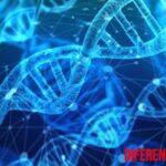 Diferencia entre ADN y ARN, fácil de entender con explicación sencilla