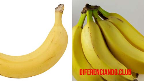 diferencia entre plátano y banana