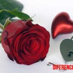 Diferencia entre ser cursi y romántico el enamorar