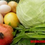 Diferencia entre comida orgánica y normal, la creada por métodos más rápidos